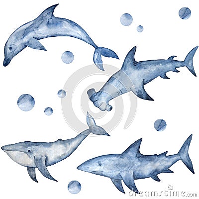 Watercolor hammerhead, shark, dolphin and whale. Hand painted underwater inhabitants Stock Photo
