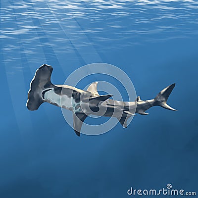 Watercolor hammerhead shark hand drawn illustration, on ocean background Cartoon Illustration