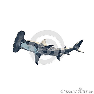 Watercolor hammerhead shark hand drawn illustration, ocean clipart, underwater creature, predator. isolated on white Cartoon Illustration