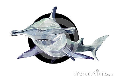 Watercolor hammerhead shark. Illustration isolated on white background. For design, prints, background, t-shirt Stock Photo
