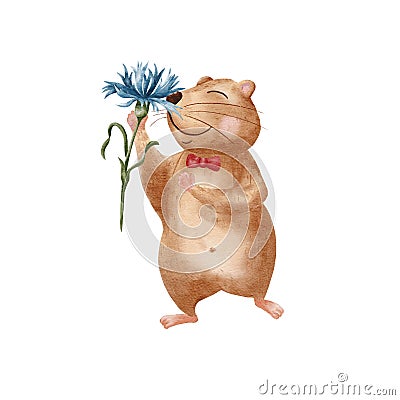 Watercolor hamster. Funny fat hamster isolated on white background. A hamster sniffs cornflowers. Illustration for Stock Photo