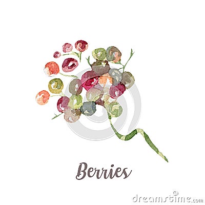 Watercolor hand drawn berries. Isolated illustration on white background Cartoon Illustration