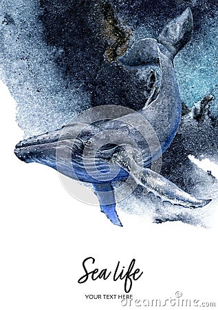 Blue whale watercolor hand drawn illustration on splash background. Cartoon Illustration