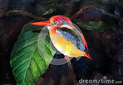 Watercolor hand-drawn bright-colored kingfisher Stock Photo