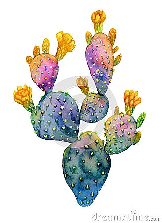 Watercolor hand drawn cactus. Blooming opuntia. Cartoon Illustration