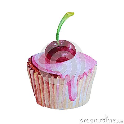 Watercolor Hand Drawn Cupcake with cherry. Vector Vector Illustration