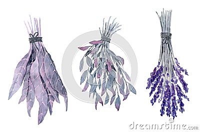 Watercolor hand drawn dried herbs, witch witchcraft plant harvest, flower leves for potion brew occult gothic Stock Photo