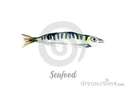 Watercolor hand drawn fish. fresh seafood illustration on white background Cartoon Illustration