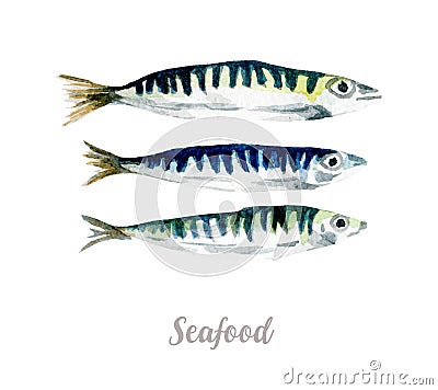 Watercolor hand drawn fish. fresh seafood illustration on white background Cartoon Illustration