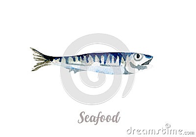 Watercolor hand drawn fish. fresh seafood illustration on white background Cartoon Illustration