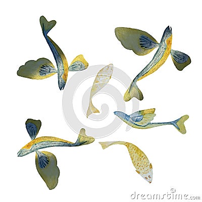 Watercolor hand-drawn fishes pattern on white Cartoon Illustration