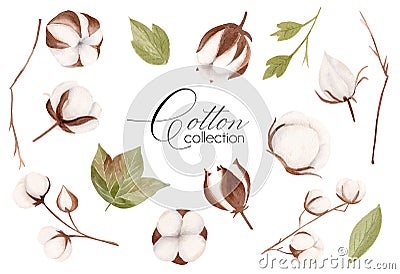 Watercolor hand drawn floral collection with white cotton flower, green leaves and brown branches. Cartoon Illustration