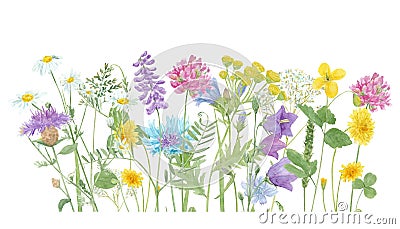 Watercolor hand drawn floral summer border with wild meadow flowers and grass, composition isolated on white background Stock Photo