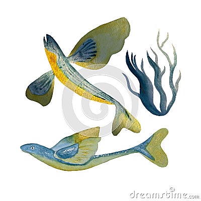 Watercolor hand-drawn flying fishes on white Cartoon Illustration