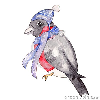 Watercolor hand drawn illustration of bullfinch Cartoon Illustration