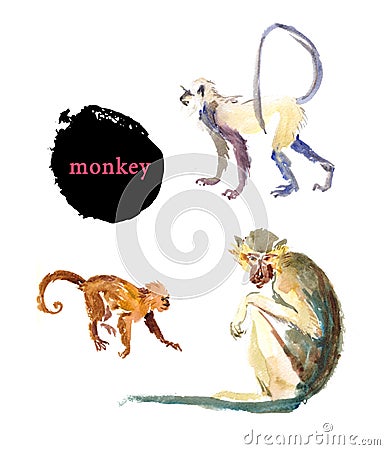 Watercolor hand drawn illustration of cute monkeys. Cartoon Illustration