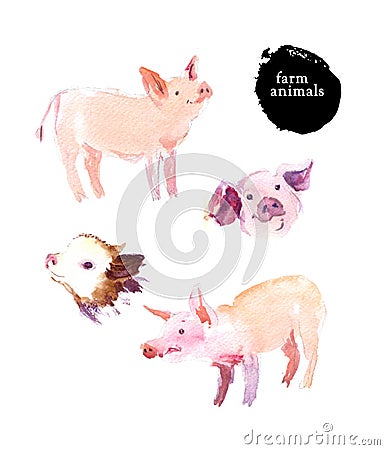 Watercolor hand drawn illustration of cute pigs. Cartoon Illustration