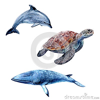 Watercolor hand drawn illustration dolphin, sea turtle, minke whale. Cartoon Illustration