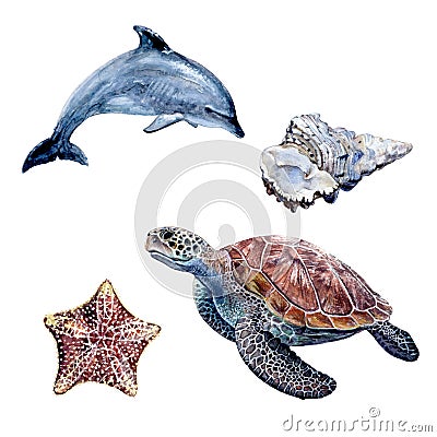 Watercolor hand drawn illustration dolphin, sea turtle, minke whale. Cartoon Illustration