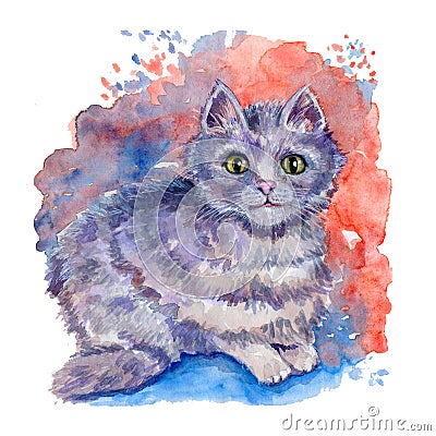 Watercolor hand drawn illustration with gray tabby cat on the multicolored aquarelle background. Cartoon Illustration