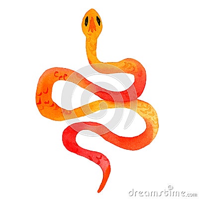 Watercolor hand-drawn illustration of snakes in orange color with skin texture. Cartoon Illustration