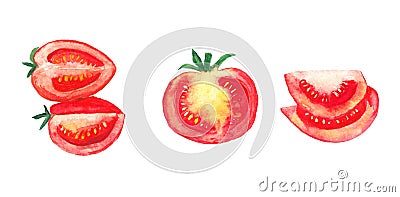 Watercolor tomatoes Cartoon Illustration