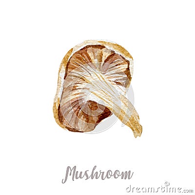 Watercolor hand drawn mushroom. illustration on white background Cartoon Illustration