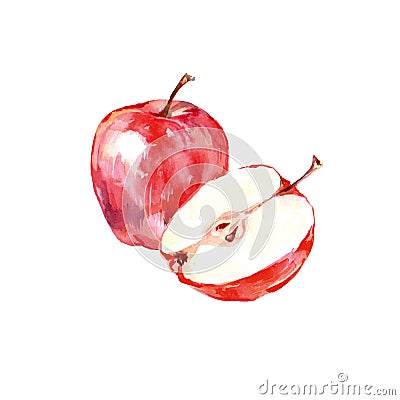 Watercolor hand drawn red apple. Isolated eco natural food fruit illustration on white background. Vector Cartoon Illustration