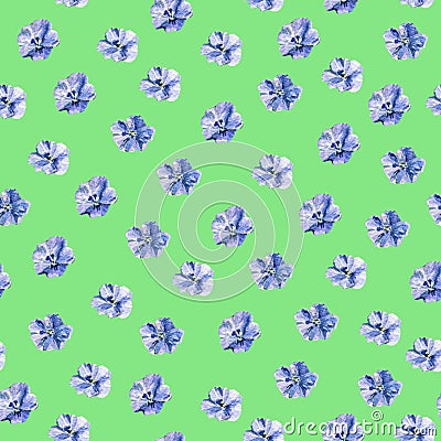 Watercolor hand drawn seamless pattern with linen flowers on light green background. Stock Photo