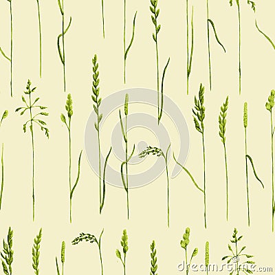 Watercolor hand drawn seamless pattern with meadow cereals. Stock Photo