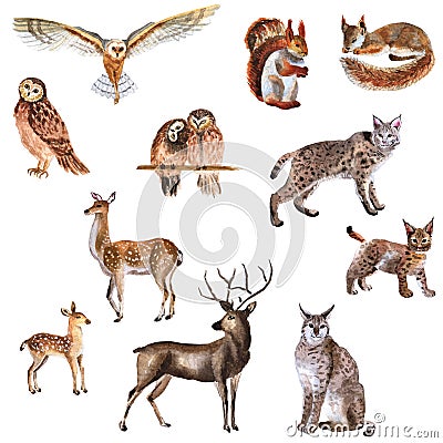 Watercolor hand-drawn set of forest animals isolated on a white background Stock Photo