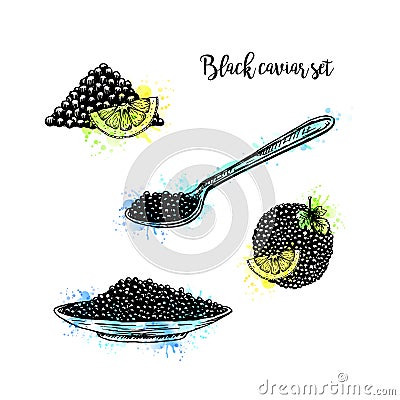 Watercolor Hand drawn set of plate with black caviar. Vector Illustration