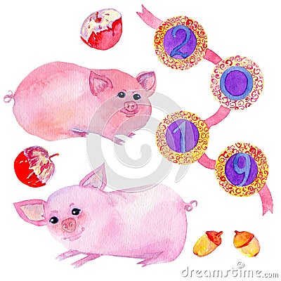 Watercolor hand drawn set with two cute pig cartoon characters. Cartoon Illustration