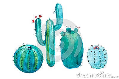 Watercolor hand drawn spiky cactus bloom flower. Stock Photo