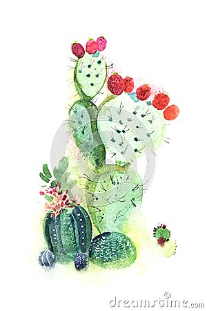 Watercolor hand drawn spiky cactus bloom flower Stock Photo