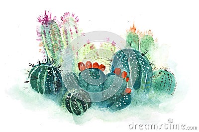 Watercolor hand drawn spiky cactus bloom flower. Stock Photo