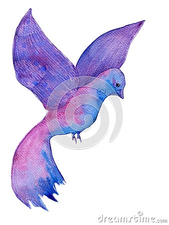 Watercolor hand drawn violet bird isolated on the white background Stock Photo