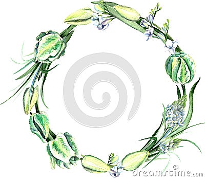 Watercolor Hand Drawn White Tulips Bouquet Wreath Stock Photo