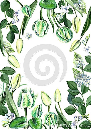 Watercolor Hand Drawn White Tulips Frame Stock Photo