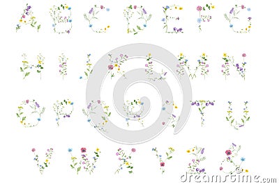 Watercolor hand drawn wild meadow flower letter alphabet bluebell, clover, chamomile, chicory, yarrow, tansy etc. isolated on w Stock Photo