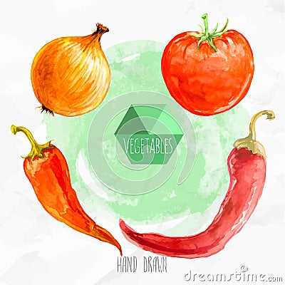 Watercolor hand painted chili peppers, onion and tomato. Vector Illustration