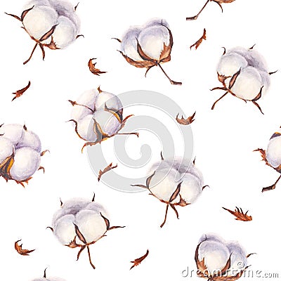 Watercolor hand painted cotton flowers seamless pattern Stock Photo