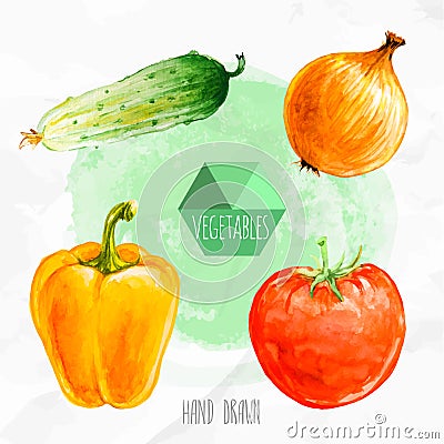 Watercolor hand painted cucumber, onion, bell paper and ripe tomato. Vector Illustration