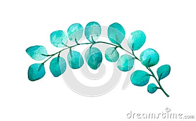 Watercolor hand painted eucalyptus. Cartoon Illustration