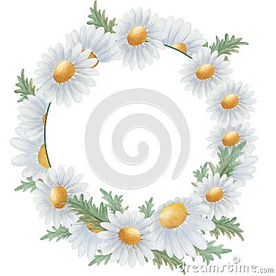 Watercolor illustration. Hand painted floral frame. Camomile, blue, yellow daisies in bloom and green leaves Cartoon Illustration