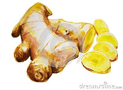 Watercolor hand painted ginger Stock Photo