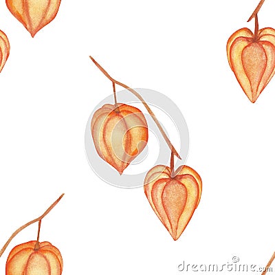 Watercolor hand painted nature autumn season plants seamless pattern with orange physalis berry fruit on branches Stock Photo