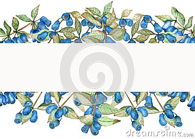 Watercolor hand painted nature banner composition with blue honeysuckle berries and green leaves on branches bouquet Stock Photo