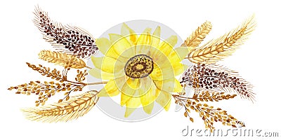 Watercolor hand painted nature crop field composition with yellow sunflower and wheat, rye, millet, buckwheat grains Stock Photo