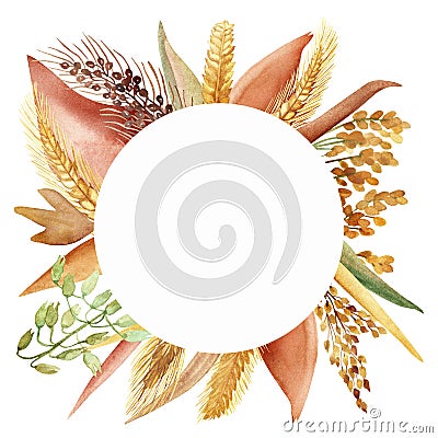 Watercolor hand painted nature field plants circle frame with yellow, green and wheat, oats, barley, millet grain cereals composi Stock Photo